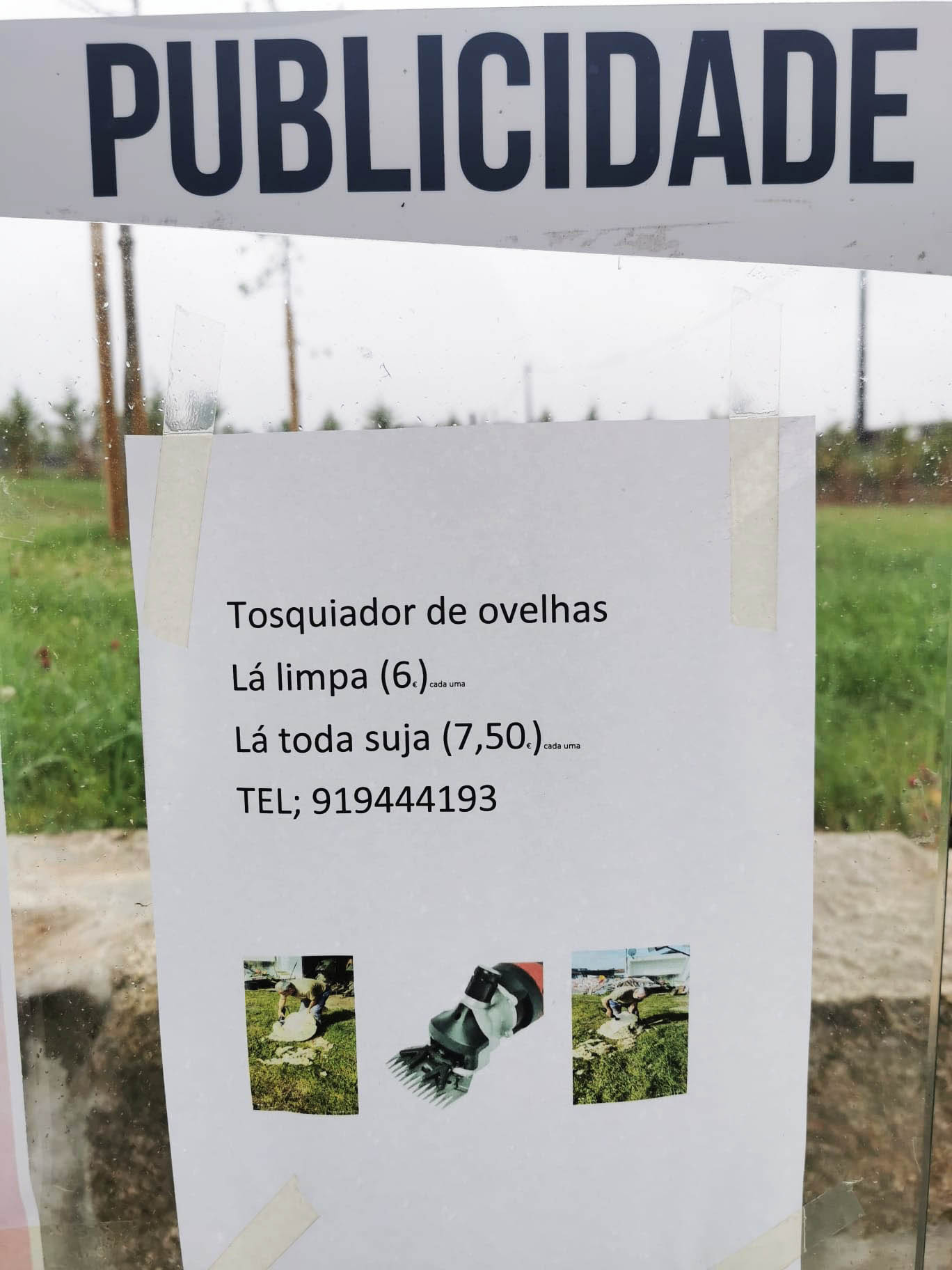 Sul Informação