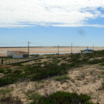 Sul Informação - Após as demolições, as dunas da praia de Faro já estão a recuperar