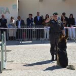 Sul Informação - Jovens podem descobrir o que fazer com o seu futuro no OPTO em Albufeira