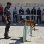 Sul Informação - Jovens podem descobrir o que fazer com o seu futuro no OPTO em Albufeira