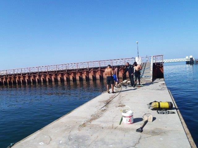 Sul Informação - Docapesca reabilitou pontão flutuante do porto de pesca da Culatra