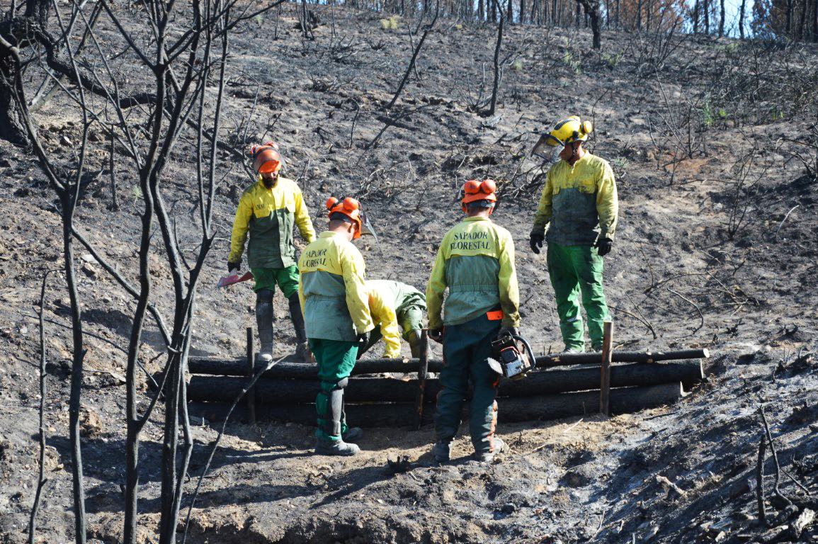 Sul Informação - Estabilização de emergência quer evitar enxurradas a seguir ao fogo em Odeceixe