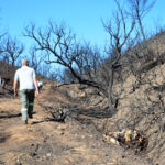 Sul Informação - Estabilização de emergência quer evitar enxurradas a seguir ao fogo em Odeceixe
