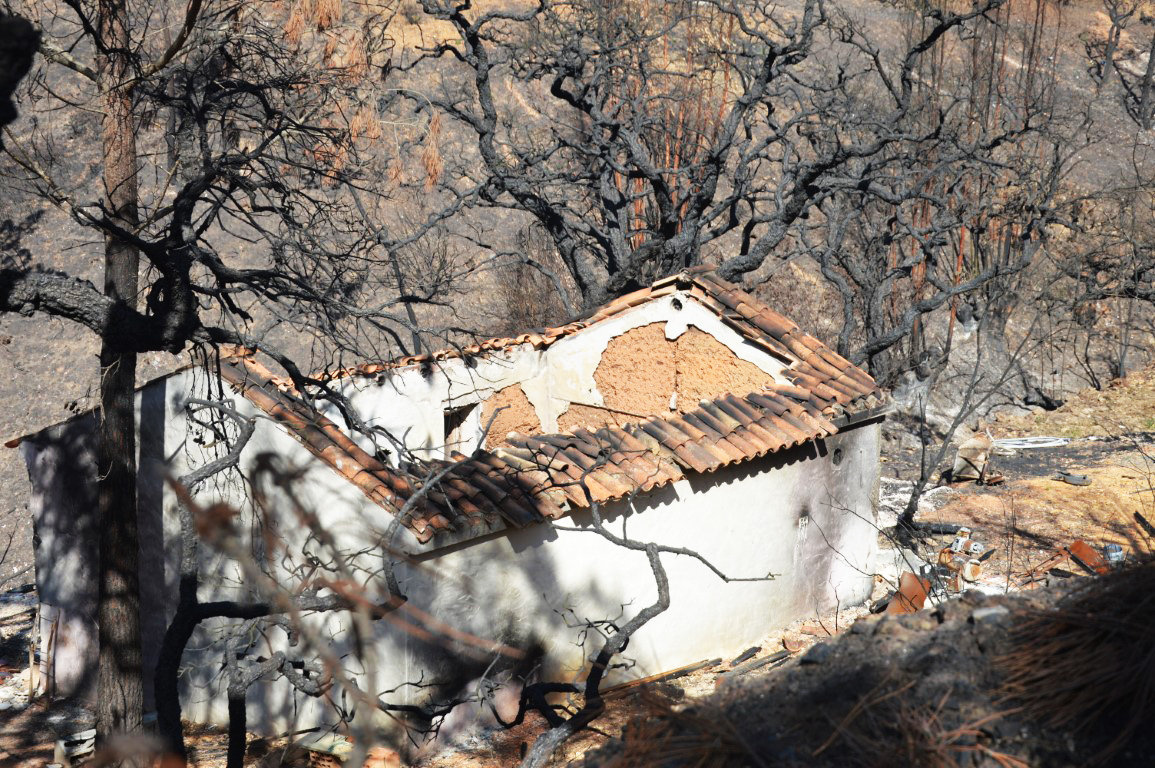 Sul Informação - Portugal registou 7.097 fogos até Setembro