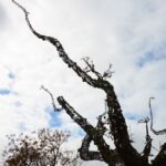Sul Informação - Fotogaleria: Um passeio à descoberta de Odemira e do seu rio