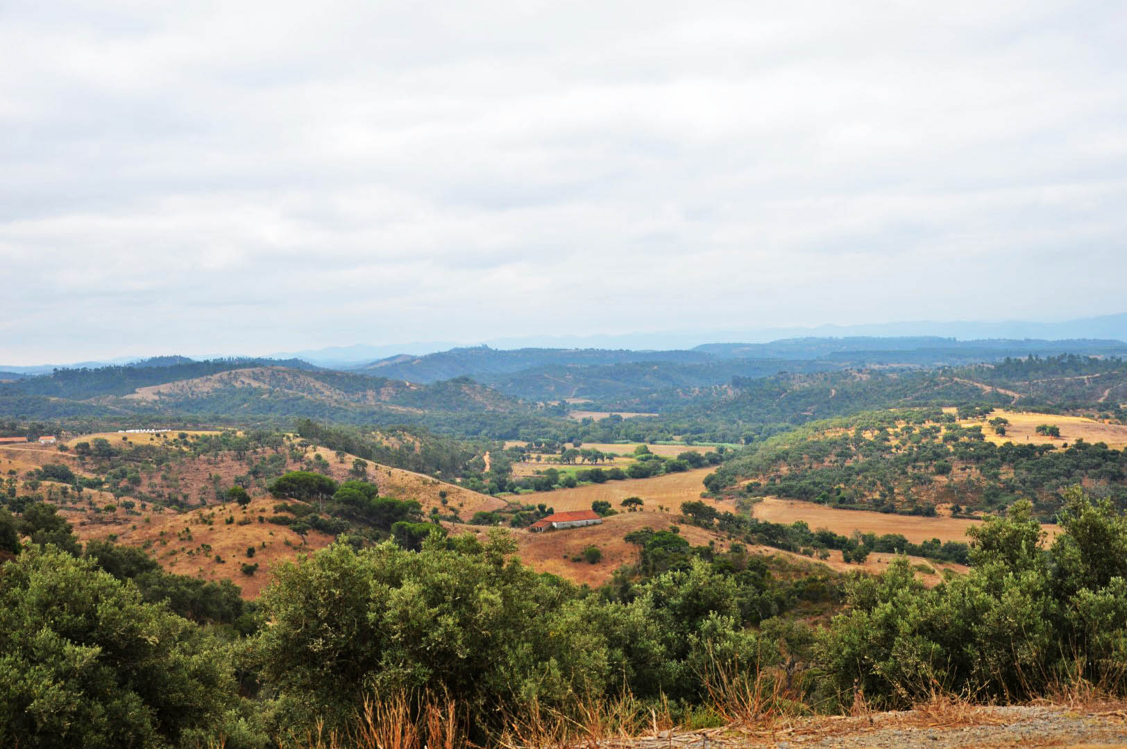 Sul Informação - Territórios portugueses de menor densidade têm menor atividade artística profissional