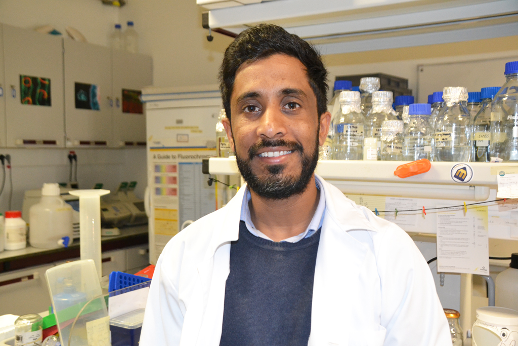 Sul Informação - Investigador da Universidade do Algarve recebe bolsa da Federação Europeia de Bioquímica