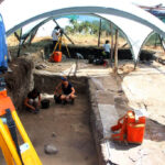 Sul Informação - Fundação americana financia Centro de Arqueologia da UAlg para continuar escavações nos concheiros pré-históricos de Muge