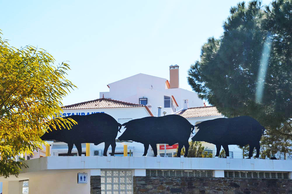 Sul Informação - O «melhor do Baixo Alentejo» mostra-se na Feira do Porco Alentejano em Ourique