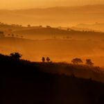 Sul Informação - Imagens de um singular Algarve