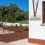 Sul Informação - Em Santa Bárbara de Nexe, (re)nasceu uma Associação que apoia pessoas com cancro