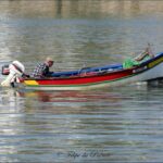 Sul Informação - Imagens de um singular Algarve – Memória das orgânicas embarcações