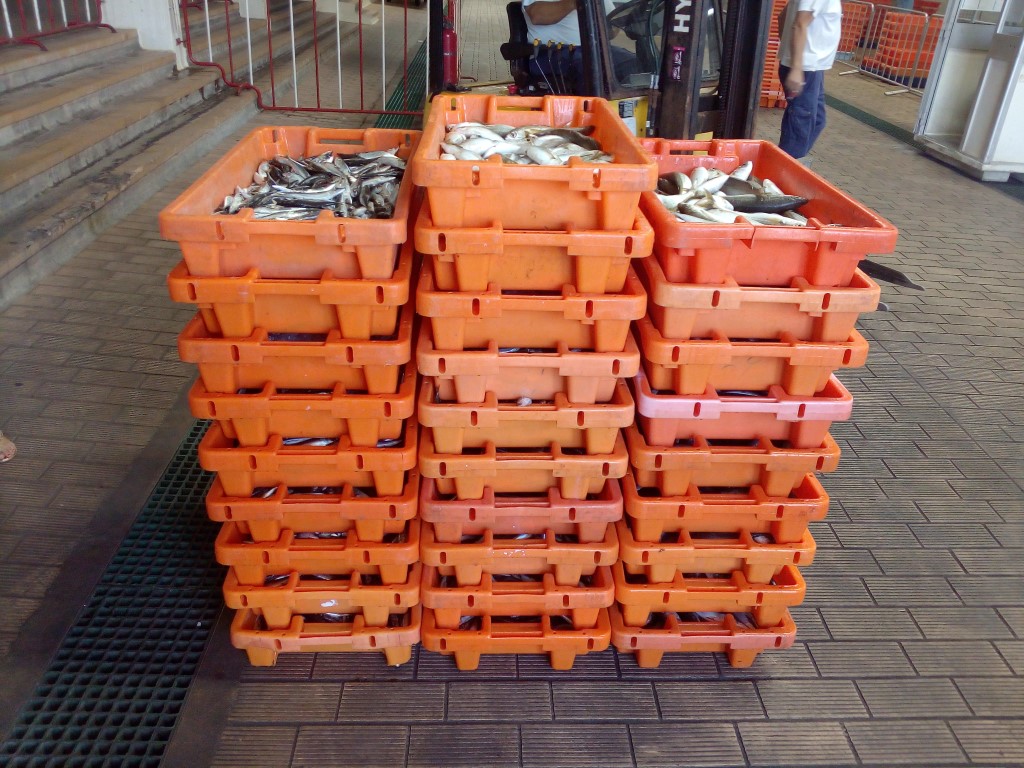 Sul Informação - Olhão: Polícia Marítima apreendeu 300 quilos de peixe e doou-os a instituições
