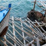 Sul Informação - Imagens de um singular Algarve – Memória das orgânicas embarcações