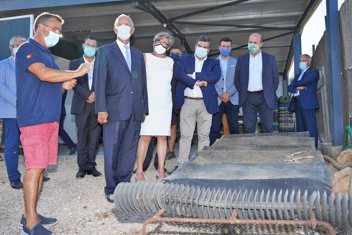 Sul Informação - Presidente Marcelo visitou Zoo de Lagos e Ostraselect