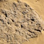 Sul Informação - História geológica do Algarve revela-se nas camadas multicores da Praia da Luz