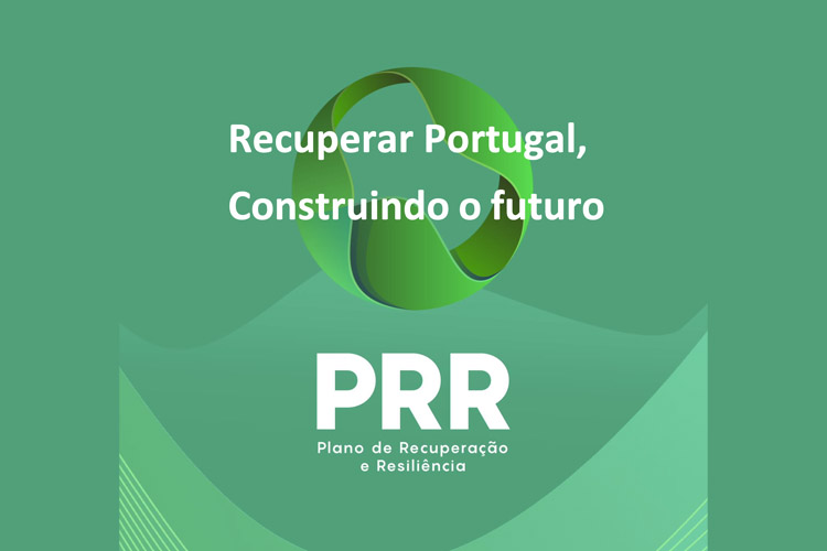 Sul Informação - Um plano para recuperar e resistir