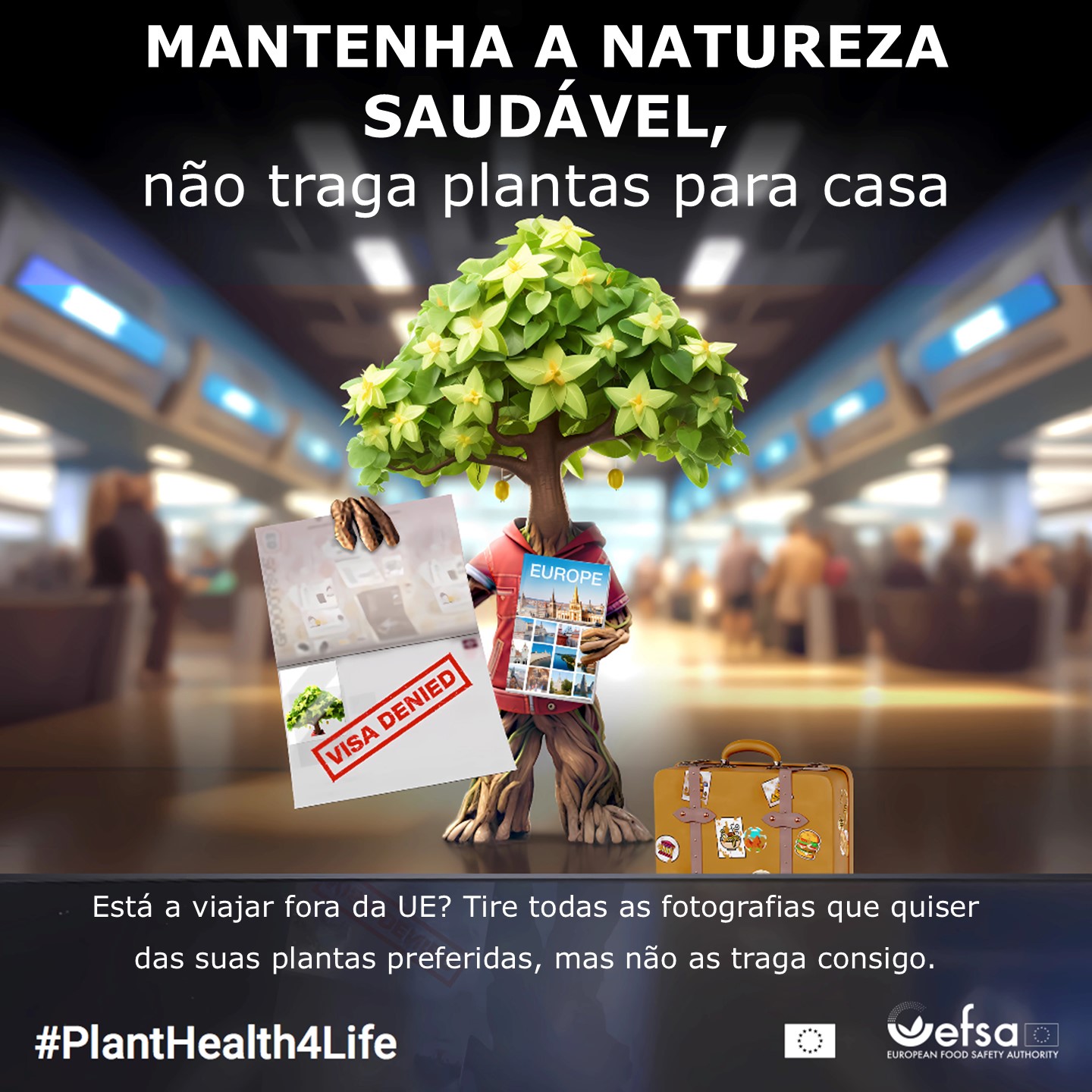 Sul Informação