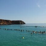 Sul Informação - Sagres: Meio milhar homenageia surfistas perdidos no mar