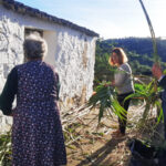 Sul Informação - Conhece Parises? É uma aldeia de Natal “verde” na Serra do Caldeirão