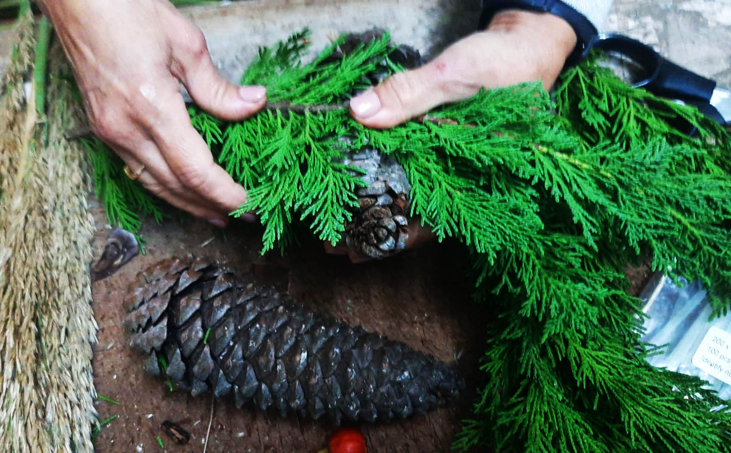 Sul Informação - Conhece Parises? É uma aldeia de Natal “verde” na Serra do Caldeirão