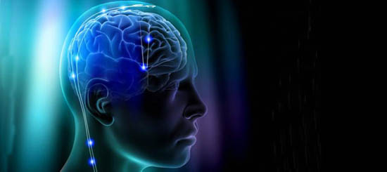 Sul Informação - Estudo europeu sobre a doença de Parkinson é liderado por investigador português