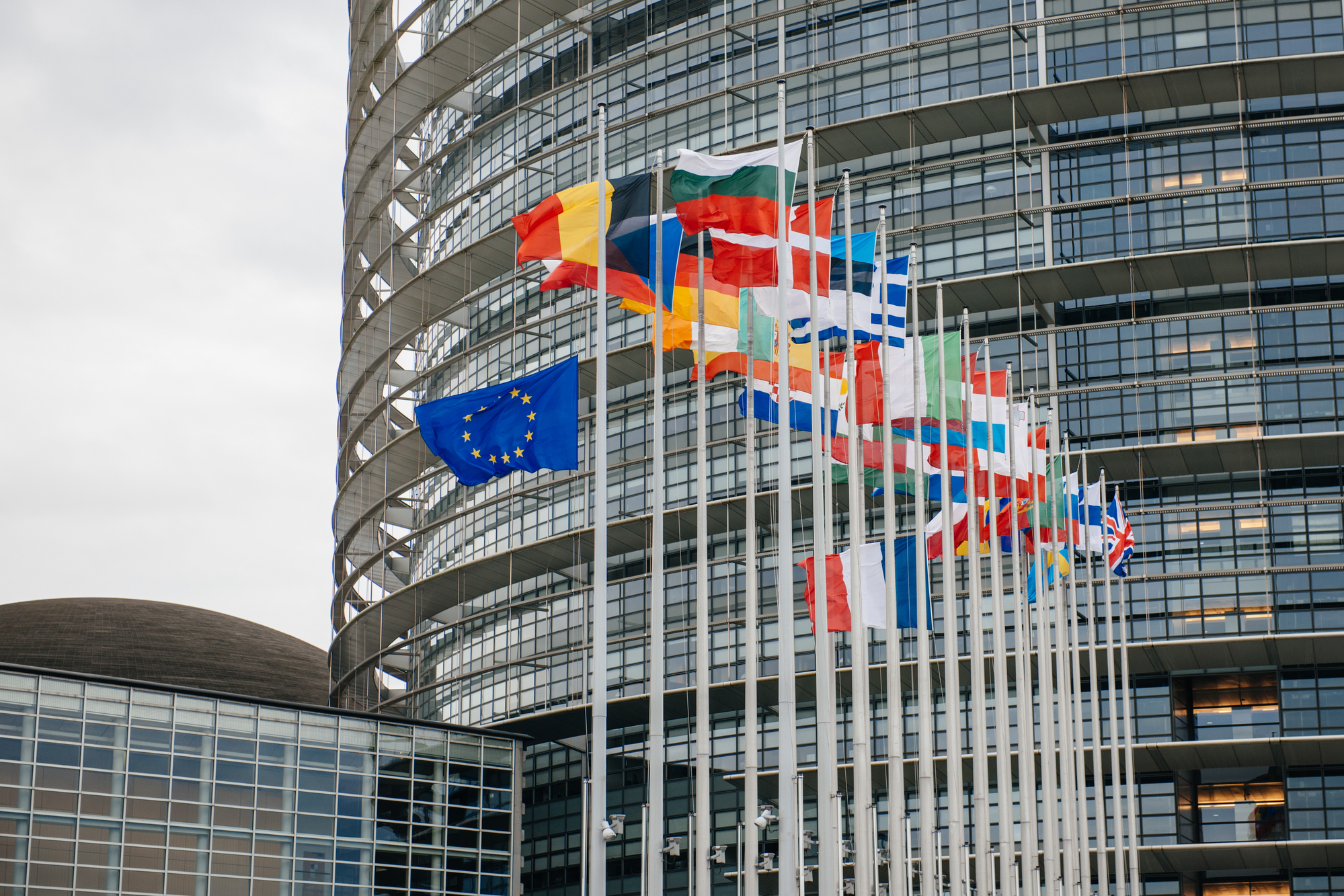 Sul Informação - Maioria dos 21 novos deputados portugueses estreia-se no Parlamento Europeu