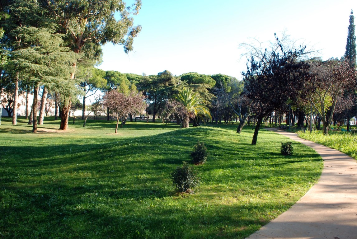 Sul Informação - Poda de árvores interdita zona Norte do Parque Municipal de Loulé