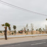 Sul Informação - Câmara quer reabrir renovado campismo da Praia de Faro «ainda este Verão»