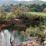 Sul Informação - REASE mostrou que Pego do Inferno não é o único tesouro do Vale da Asseca [com fotos]