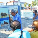 Sul Informação - Exposição ao ar livre propõe um passeio pelas memórias de uma Praia da Rocha desaparecida