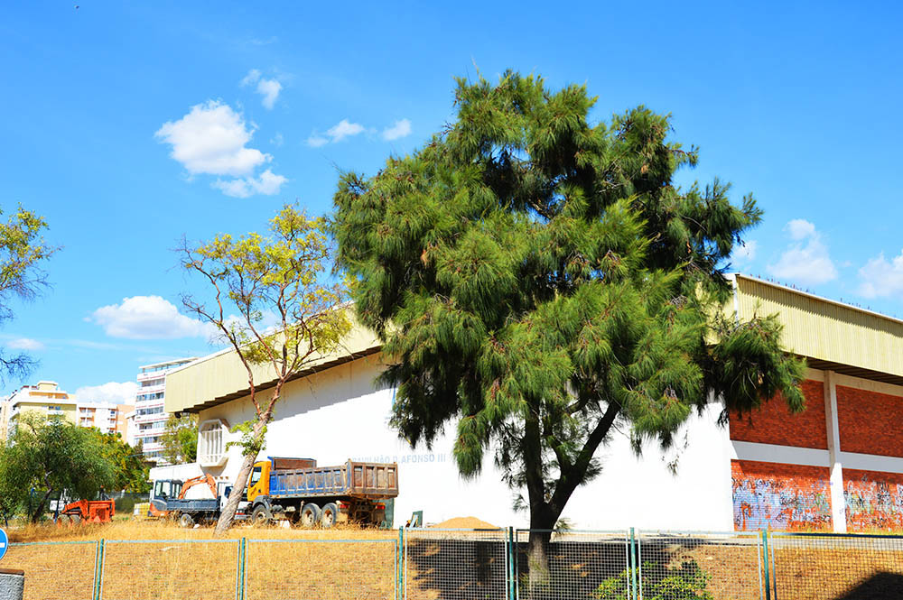 Sul Informação - Faro: Obras no pavilhão da Escola Afonso III só estarão prontas «no final de Outubro»