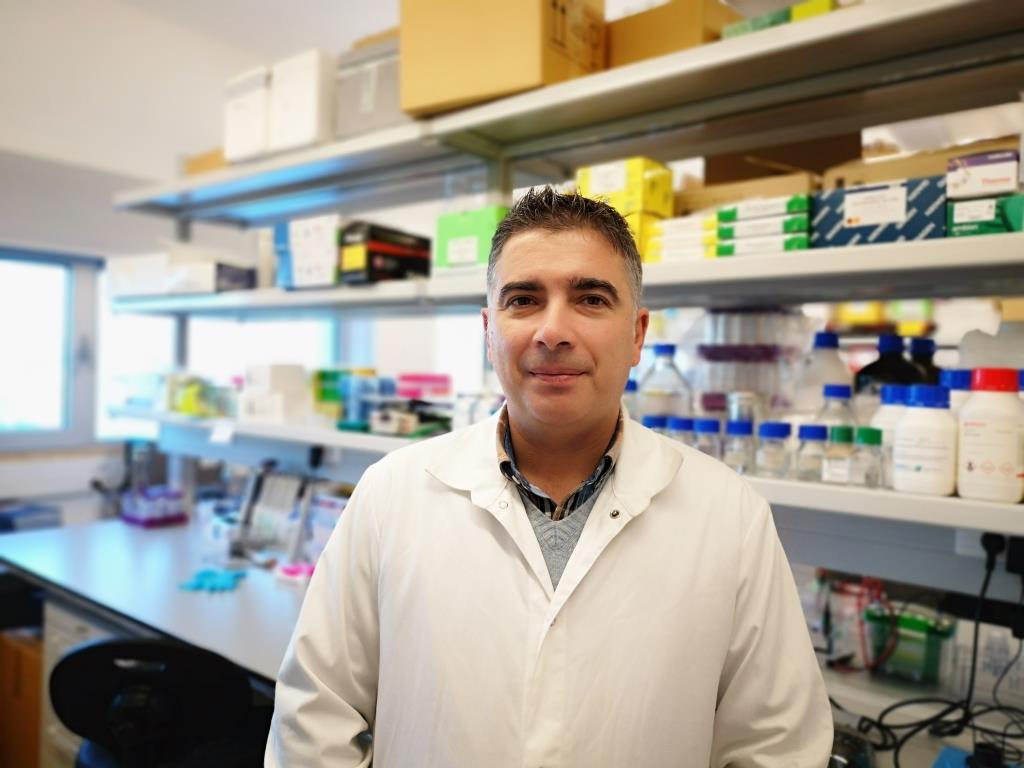 Sul Informação - Descoberta de investigadores da UAlg pode contribuir para tratamento do cancro da bexiga