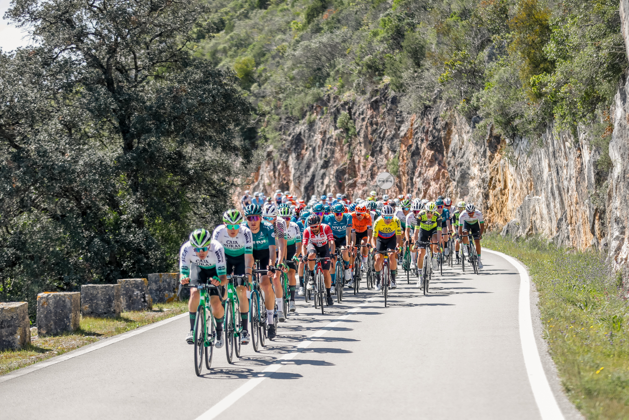 Sul Informação - Pedalar 832,5 quilómetros em cinco dias. Eis a 40ª Volta ao Alentejo