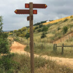Sul Informação - Albufeira já tem ligação pedestre à Via Algarviana e a primeira bicicleta Joelette do Algarve