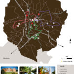 Sul Informação - Albufeira já tem ligação pedestre à Via Algarviana e a primeira bicicleta Joelette do Algarve