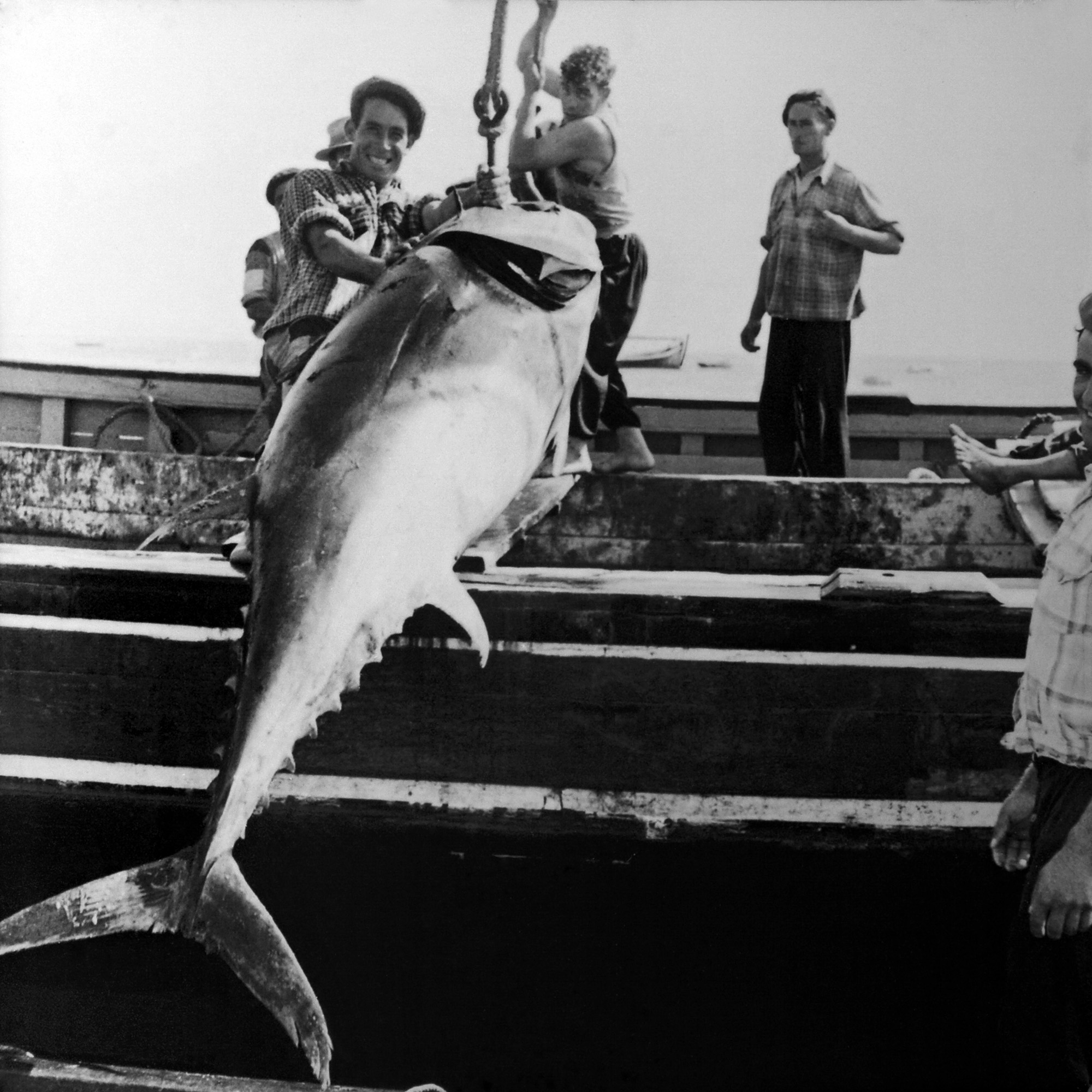 Sul Informação - Festival «Almadrava» no Vila Galé Albacora dá a conhecer tradição da pesca do atum