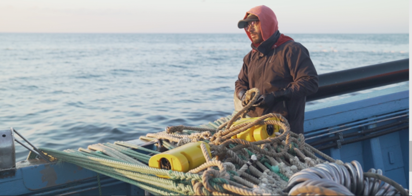Sul Informação - Pescadores do Algarve começam esta semana a ser testados à Covid-19