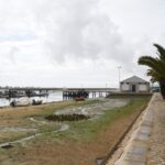 Sul Informação - No Algarve, «ainda é o polvo quem mais ordena»