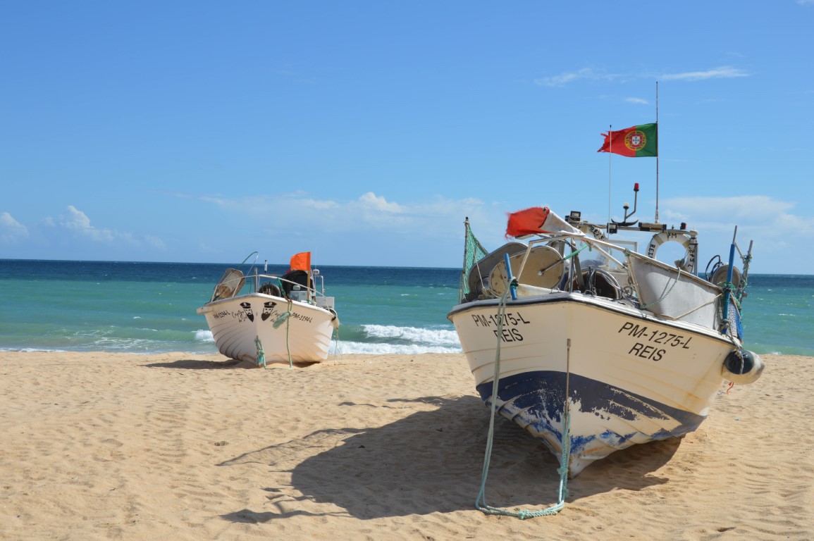 Sul Informação - «Bola está no lado do Governo» quanto à criação do Parque Natural Marinho do Recife do Algarve