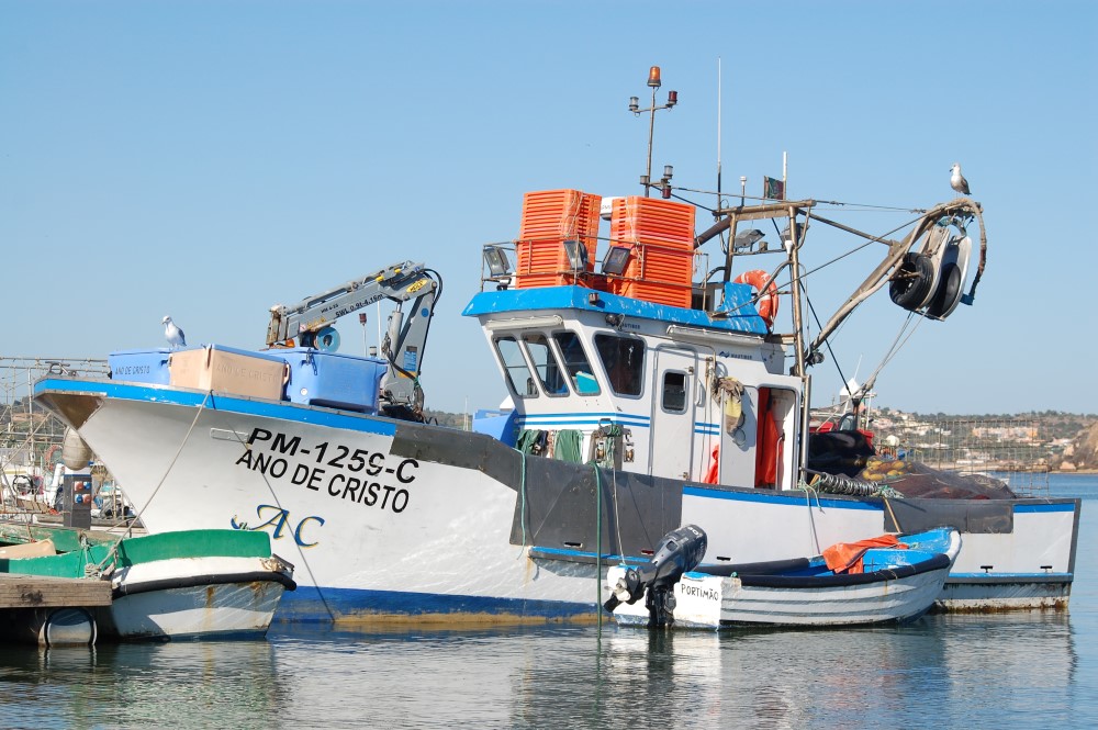 Sul Informação - Deputados do PS Algarve querem formação ligada às atividades do mar em Portimão