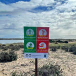 Sul Informação - Placas na Culatra e na Deserta sensibilizam para a defesa das dunas