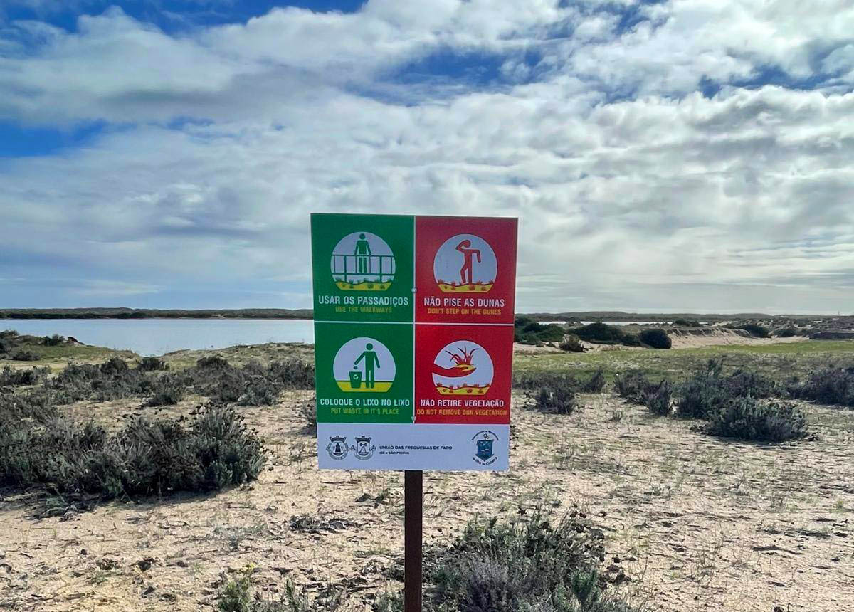 Sul Informação - Placas na Culatra e na Deserta sensibilizam para a defesa das dunas