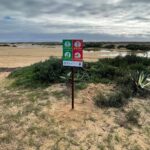 Sul Informação - Placas na Culatra e na Deserta sensibilizam para a defesa das dunas