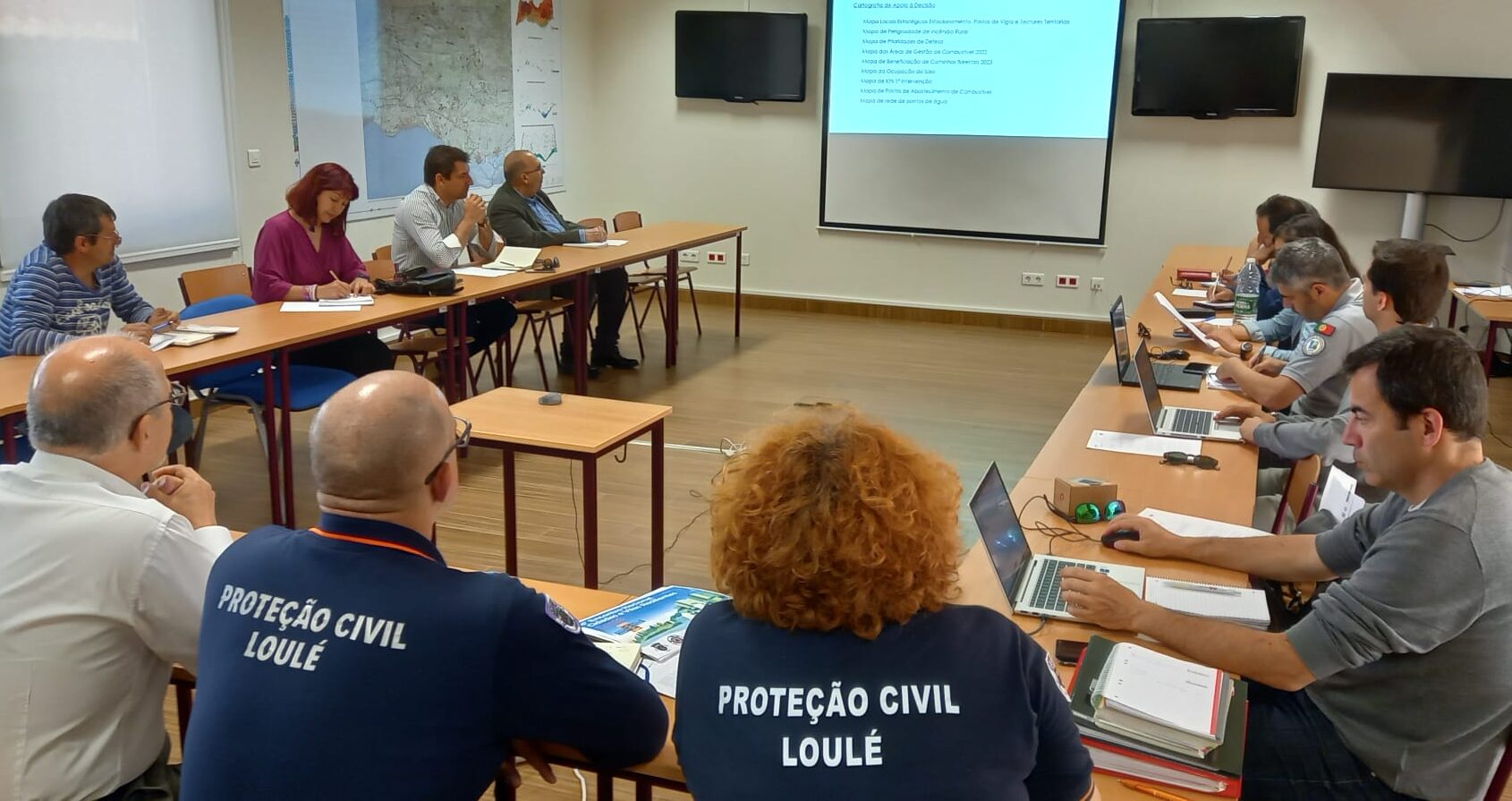 Sul Informação - Loulé aprova plano contra incêndios para a fase crítica do Verão