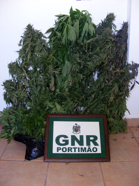 Sul Informação