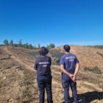 Sul Informação - Loulé plantou 40 mil árvores em 2023