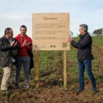Sul Informação - Eurodeputado promove ação de plantação em Alte para minimizar pegada ecológica
