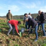 Sul Informação - Eurodeputado promove ação de plantação em Alte para minimizar pegada ecológica