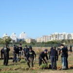 Sul Informação - 500 voluntários plantaram 5 mil novas árvores em Portimão